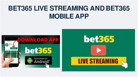 bet365 ipl betting